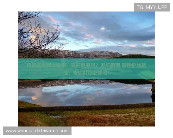 玩球TV官网避坑指南 品牌入口下载与防骗评测